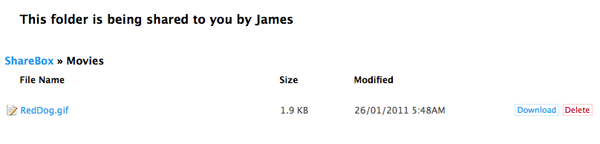Shared Folder View