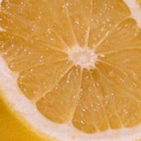 Create an s3slider-like jQuery Plugin: New Plus Tutorial